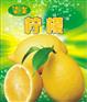 山东菏泽可乐糖浆批发价格