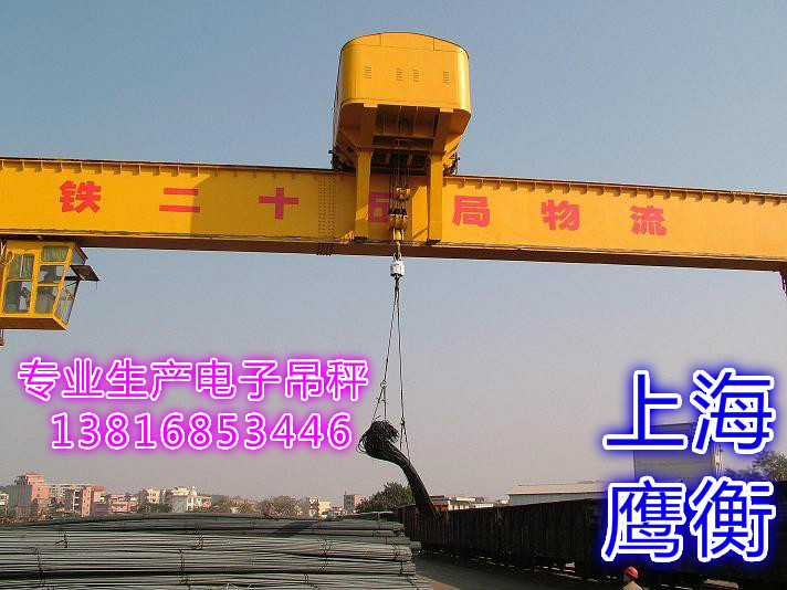 ！《崇安电子吊秤价格》，《电子吊秤报价》！&nbsp;&nbsp;崇安电子吊秤报价