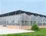 潍坊最知名的阳光板温室建造公司，当属盈丰温室工程公司——青州