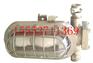 DGS70/127B（A）矿用隔爆型金卤照明灯-新品上市