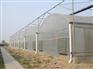 安徽连栋温室工程：山东可信赖的连栋温室工程建造