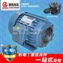 1.5KW油泵电机 JIU TENG MACHINE
