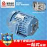 0.75KW油泵电机 齿轮泵专用电机 东元油泵电机 油泵电机