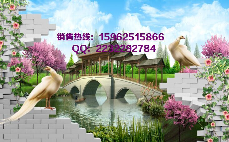 uv万能平板打印机的价格价位&nbsp;&nbsp;手机外壳打印机&nbsp;&nbsp;数码彩印机
