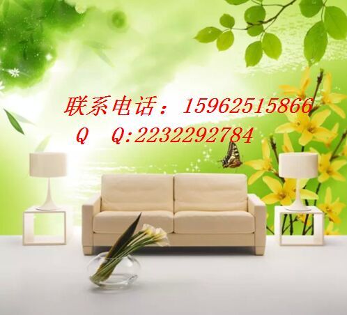 提供内地手机外壳打印机/uv万能平板打印机&nbsp;&nbsp;数码彩印机