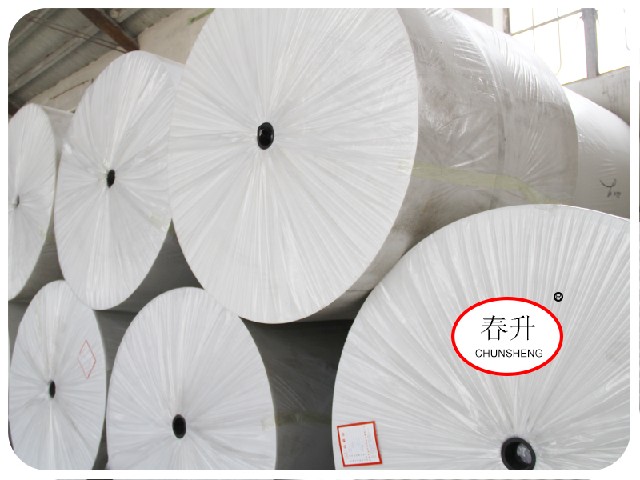 低價(jià)聚酯胎——山東物超所值的長(zhǎng)絲聚酯胎