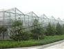 【晟荣】Pc板温室建造公司，Pc板温室造价，Pc板温室建造