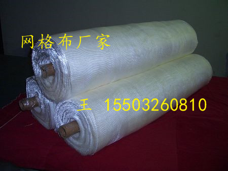 耀東絲網(wǎng)供應(yīng)鐵絲網(wǎng)/礦篩網(wǎng)/輸送帶/安全網(wǎng)/網(wǎng)格布