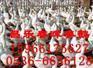 潍坊皖西鹅苗