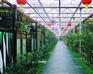 潍坊价位合理的连栋生态餐厅哪有卖|连栋生态餐厅代理商