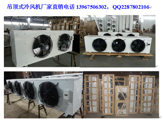 山東省棗莊市DJ40水沖霜冷風(fēng)機(jī)\冷風(fēng)機(jī)怎么制冷