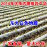 多功能大棚膜 农膜大棚膜