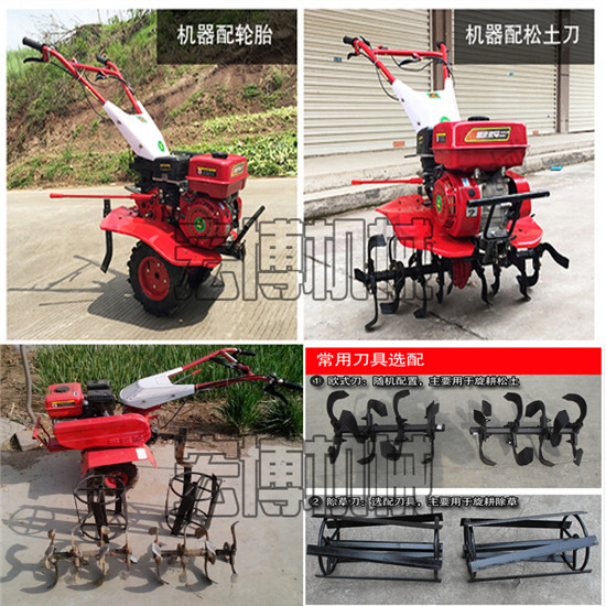 可播种施肥农业种植旋耕机 旋耕微型松土机 微型翻土机报价  微型开沟翻土机  农用除草旋耕机  蔬菜大棚旋耕微耕