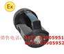 EPM5907便携式搜索灯（EPM5907）便携式搜索灯、