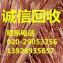 广州市萝岗经济开发区废铜边角料收购公司