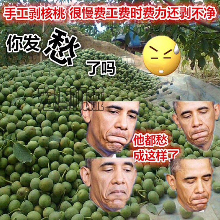 家用核桃剥壳机 大型山核桃剥皮机 直销核桃去皮机  青皮核桃剥壳机  核桃脱皮清洗机价  小型核桃剥壳机