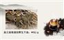 龙岩金线莲：哪里有口碑好的金线莲