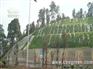 矿山复绿|三峡大学专利产品|植被混凝土绿化添加剂