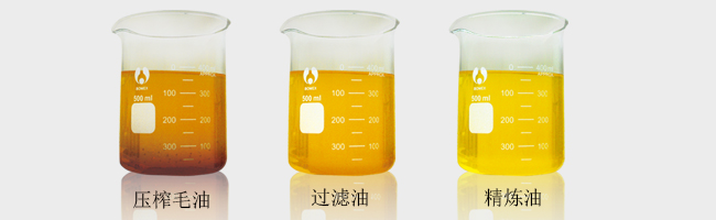 最先进的食用油滤油机选择攀奇40型离心式滤油机