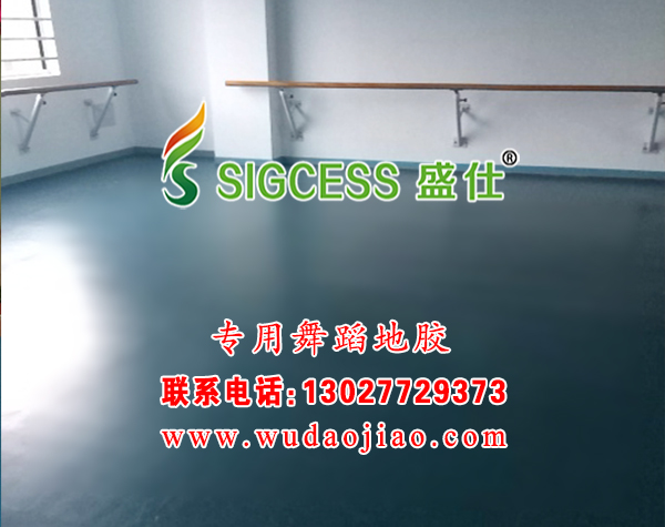 哪里有舞蹈地膠專業(yè)生產(chǎn)廠家