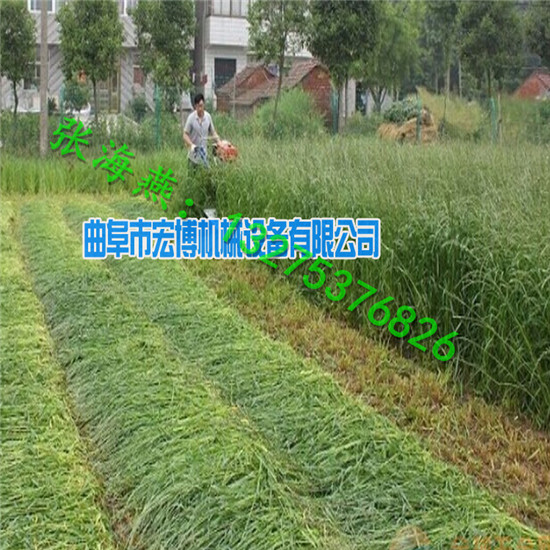 收获机 稻麦收割机 割晒机  辣椒割晒机厂家  小型辣椒收割机  手扶式割晒机