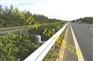 供应安徽合肥公路波形护栏板//合肥公路护栏板