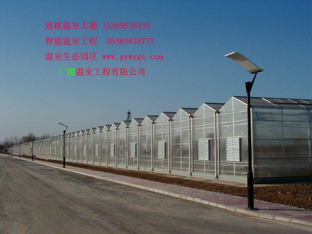 連棟溫室價(jià)格_想要一流的智能連棟溫室建設(shè)就找廣源溫室