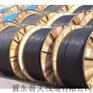 冀东普天品牌的HYA电话线