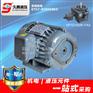 0.75KW JIU TENG液压电机 VP20液压电机