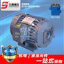 YB1油泵电机 1.5KW JIUTENG油泵电机 2HP
