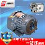 HGP-1A 1.5KW 液压专用电机 JIUTENG 1H