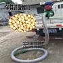 小型粮食斗式提升机厂家批发 全自动吸粮机 蛟龙提升机