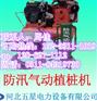 小型#打桩机+小型#便携式【打桩机&9打桩机】里最专业