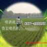 高效打药机  雾状喷雾器  轮式大容量打药机供应