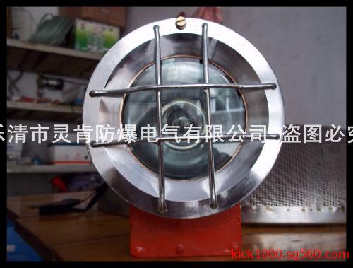 贵州DGY 9/110L(A) 机车灯 隔爆机车灯 矿用机车灯