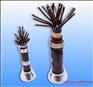 DJFFP-4*2*1.5mm2氟塑料耐高温电缆