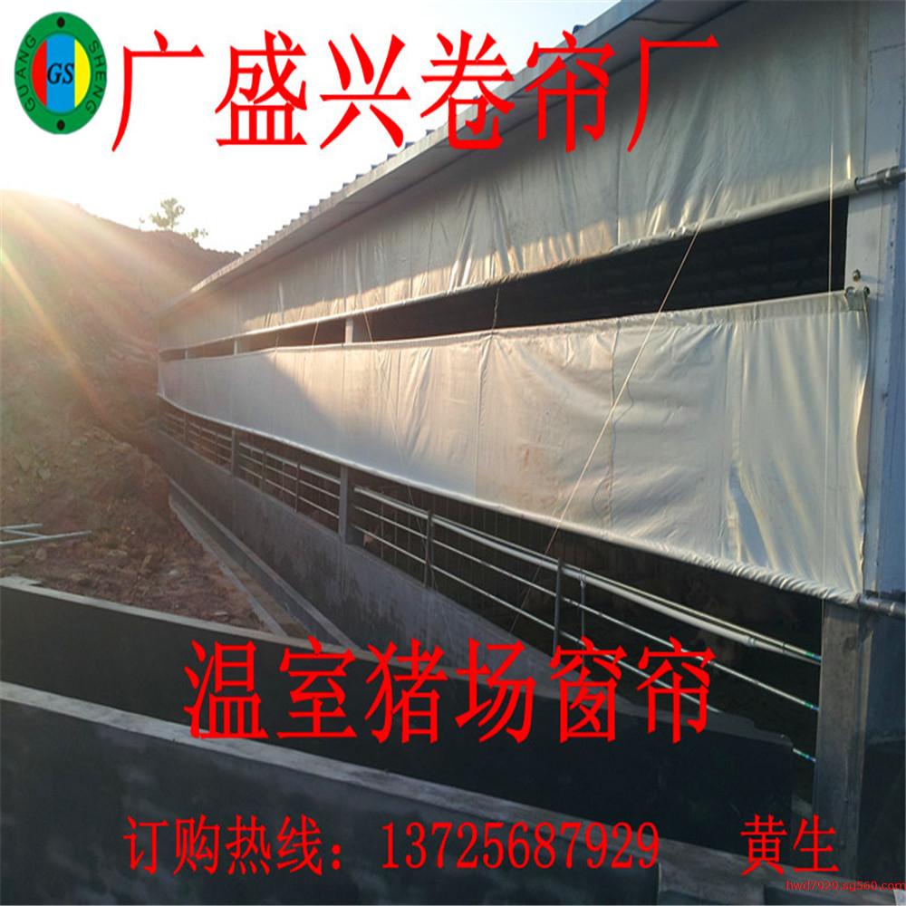 浙江温州猪场卷帘布 养羊场卷帘布  哪里有猪场卷帘布最便宜