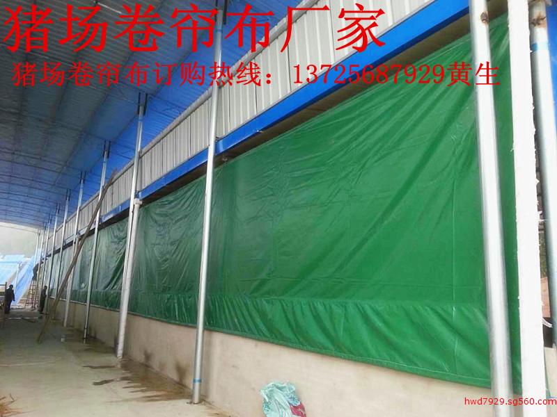温氏集团猪场用卷帘帆布 保定透光养殖卷帘布 保温防寒抗老化&nbsp;&nbsp;猪场卷帘布&nbsp;&nbsp;畜牧卷帘布