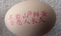 小個雞蛋紅墨噴碼機，logo噴碼機，整盤雞蛋噴碼機