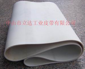 中山地區(qū)優(yōu)質(zhì)的硅膠輸送帶在哪兒買     ：硅膠帶專賣店