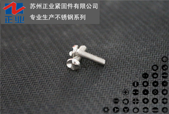 304不锈钢 S型防盗螺丝