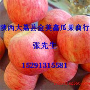 陕西大棚冬枣基地-大荔大棚冬枣价格-优质冬枣批发